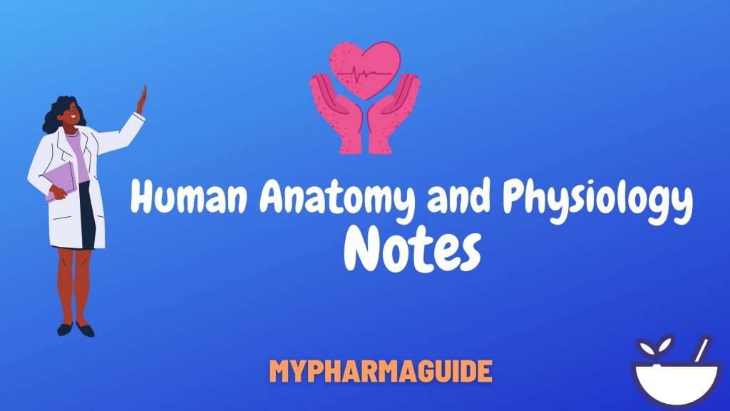 Human Anatomy and Physiology Notes Free Download