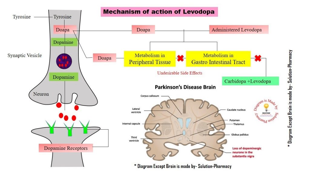 mechanism of levodopa on parkinson's disease